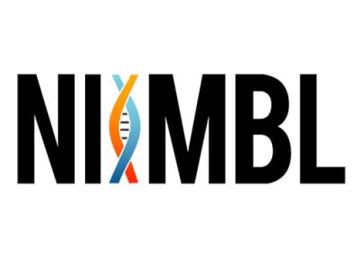Niimble Logo
